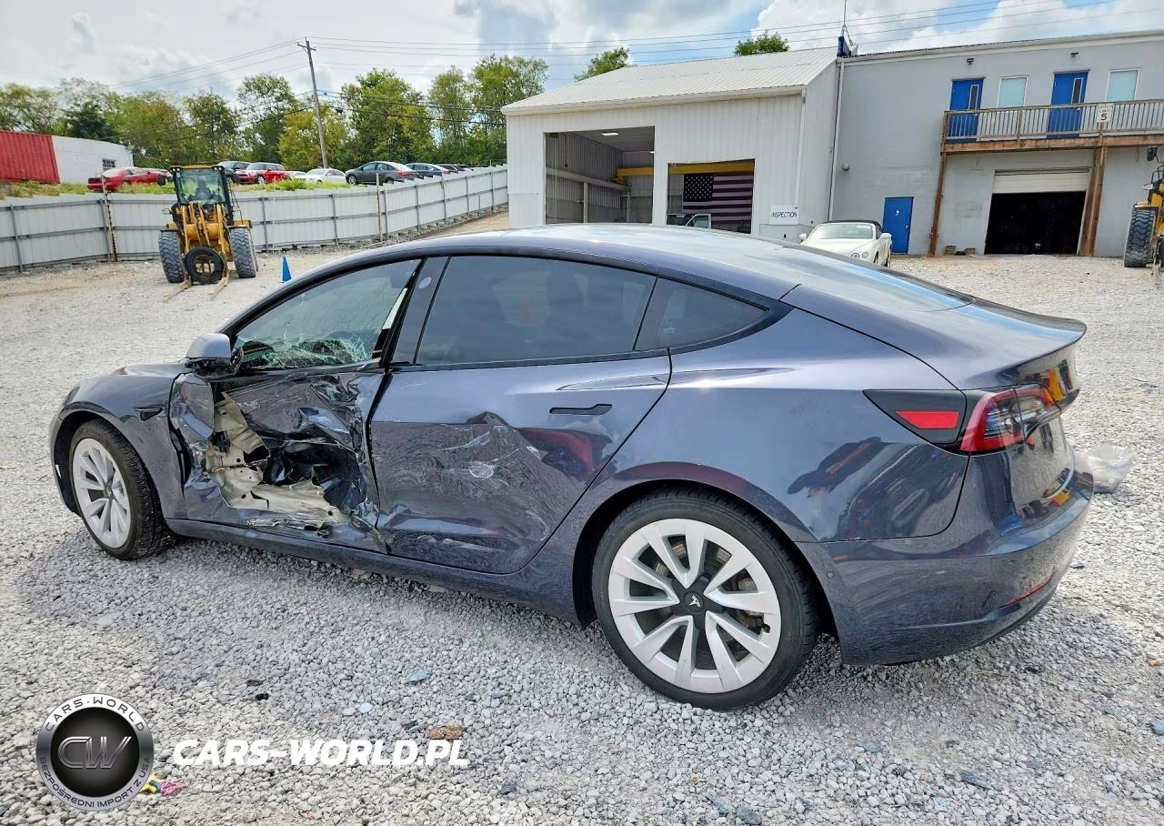2022 Tesla Model 3 VIN:5YJ3E1EA0NF142959 - 2
