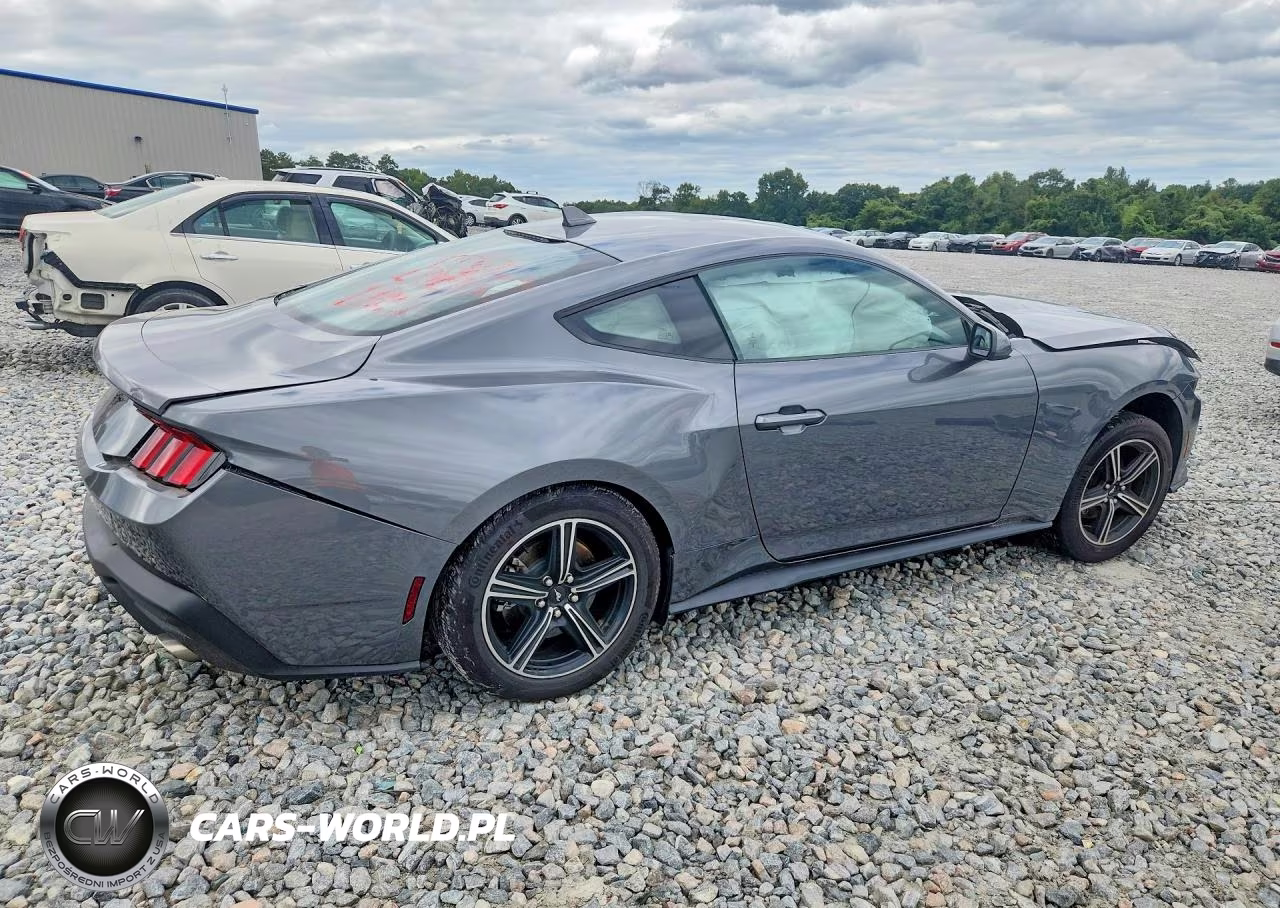2025 Ford Mustang VIN:1FA6P8TH7S5132710 - 3