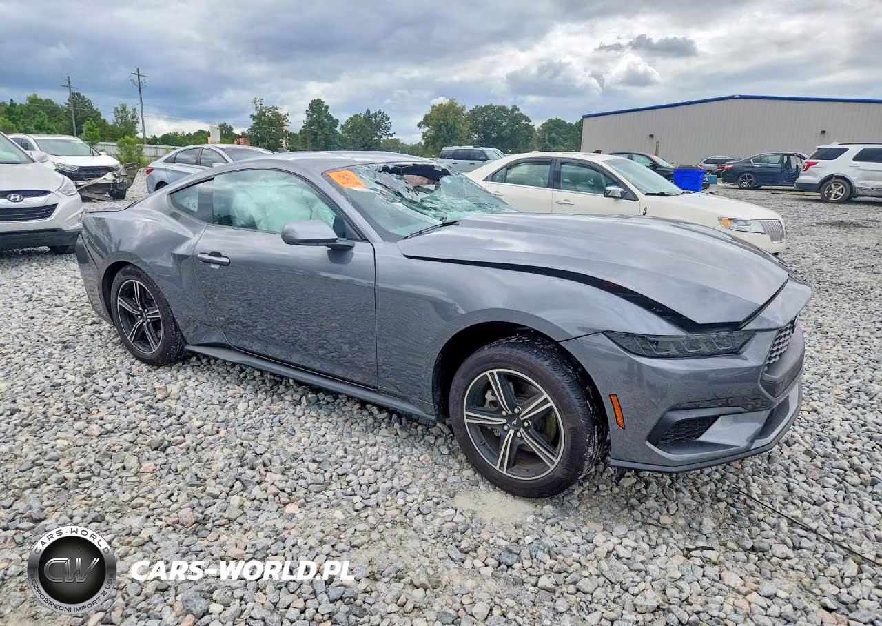 2025 Ford Mustang VIN:1FA6P8TH7S5132710 - 4
