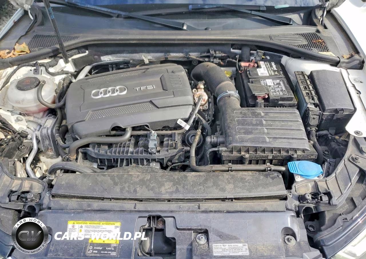 2019 Audi A3 Premium Plus VIN:WAUJEGFF0KA076483 - 11