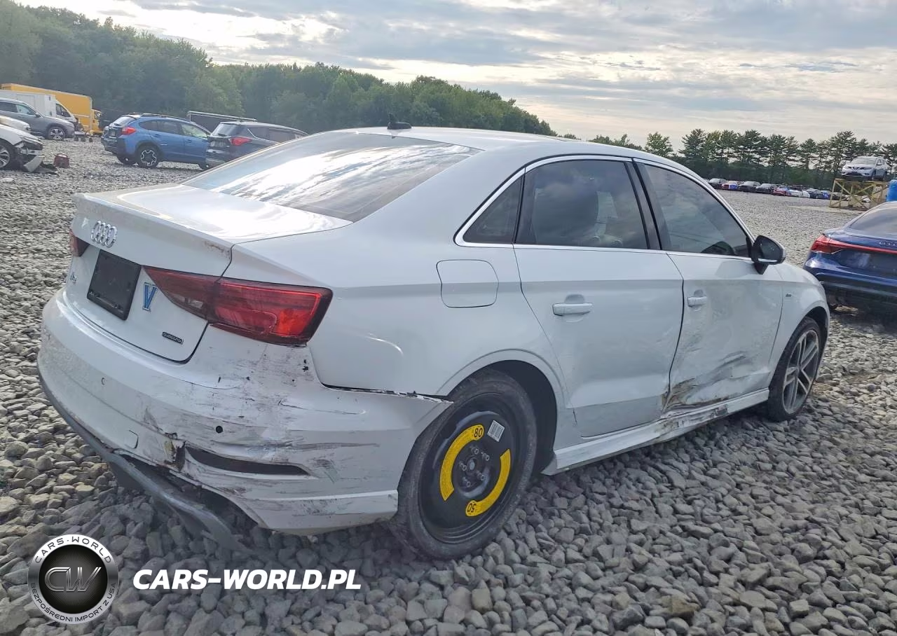2019 Audi A3 Premium Plus VIN:WAUJEGFF0KA076483 - 3