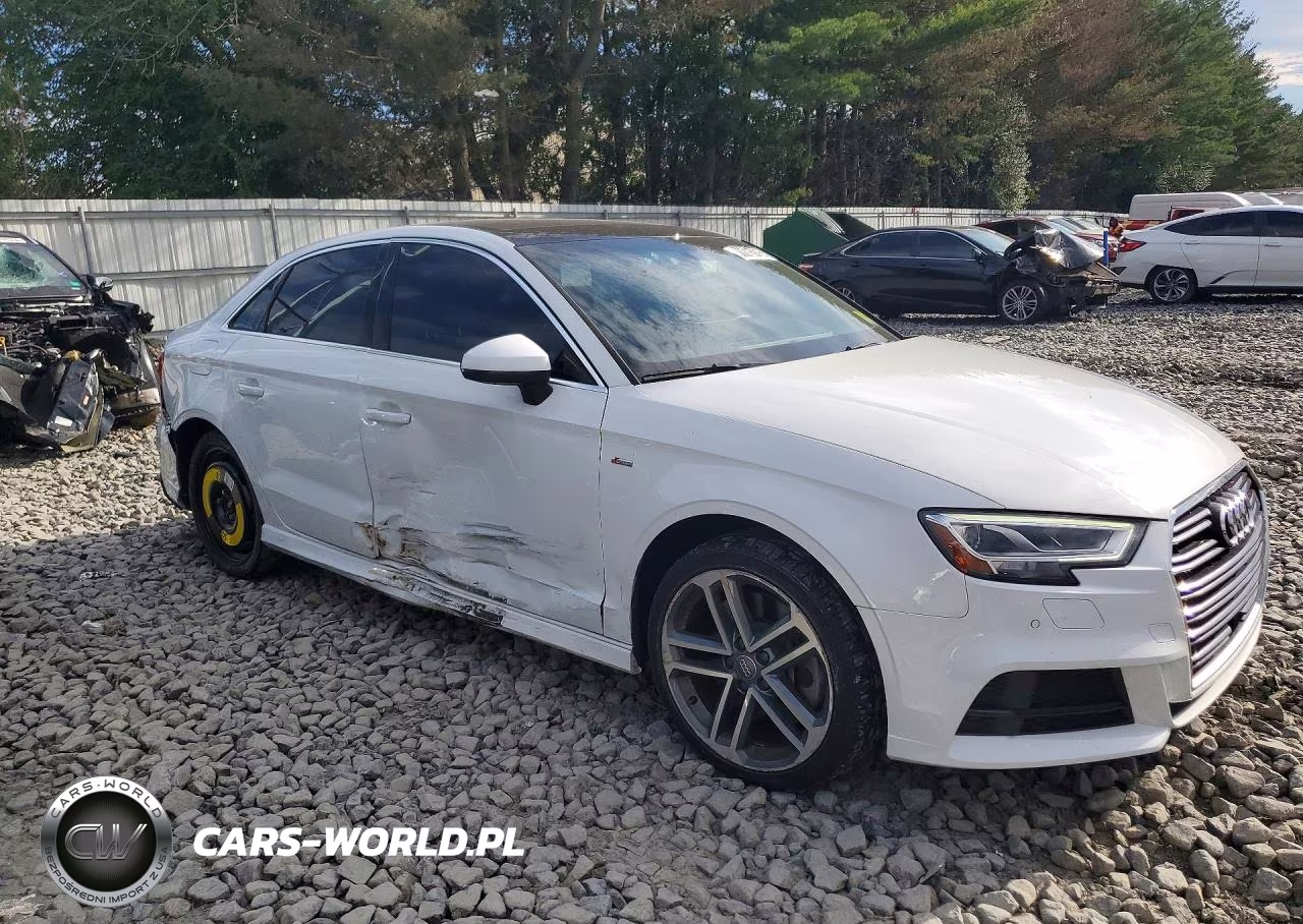 2019 Audi A3 Premium Plus VIN:WAUJEGFF0KA076483 - 4