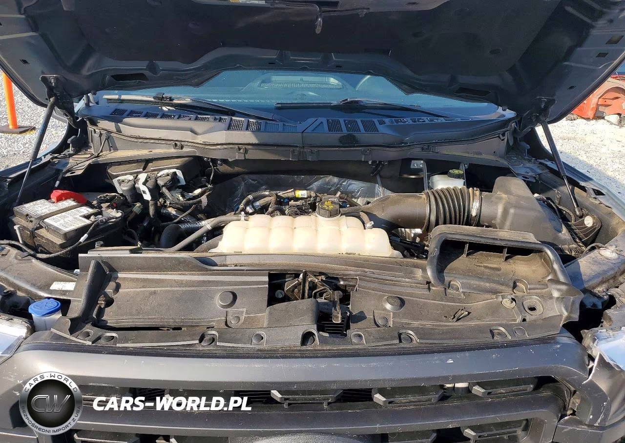2023 Ford F150 Supercrew VIN:1FTEW1EP6PKF70633 - 11