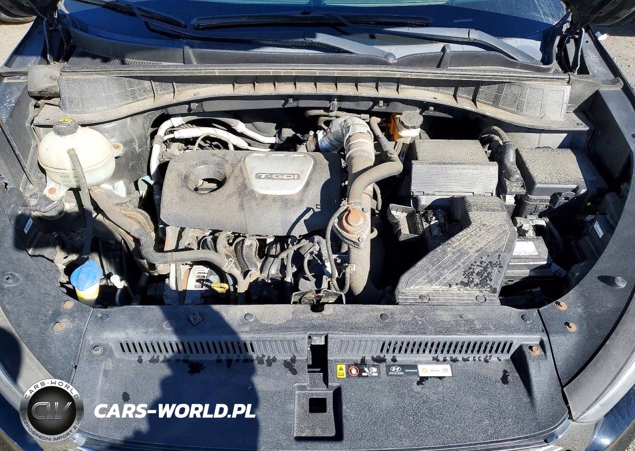2016 Hyundai Tucson Limited VIN:KM8J3CA21GU245885 - 12