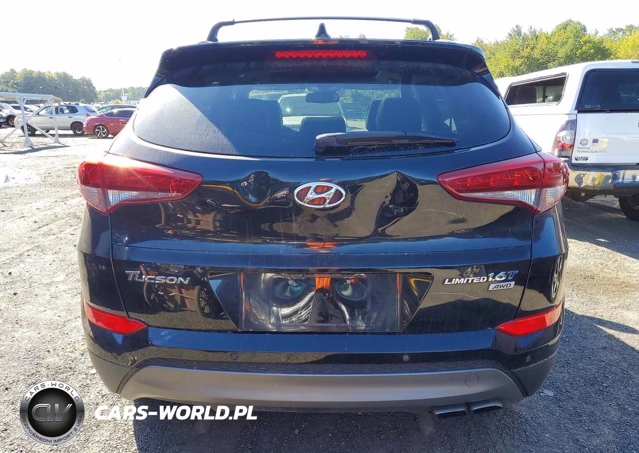 2016 Hyundai Tucson Limited VIN:KM8J3CA21GU245885 - 6