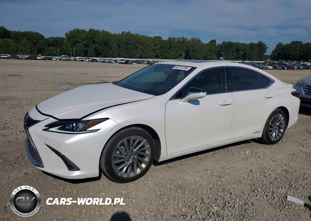2020 Lexus Es VIN:58AD21B10LU008396 - 1