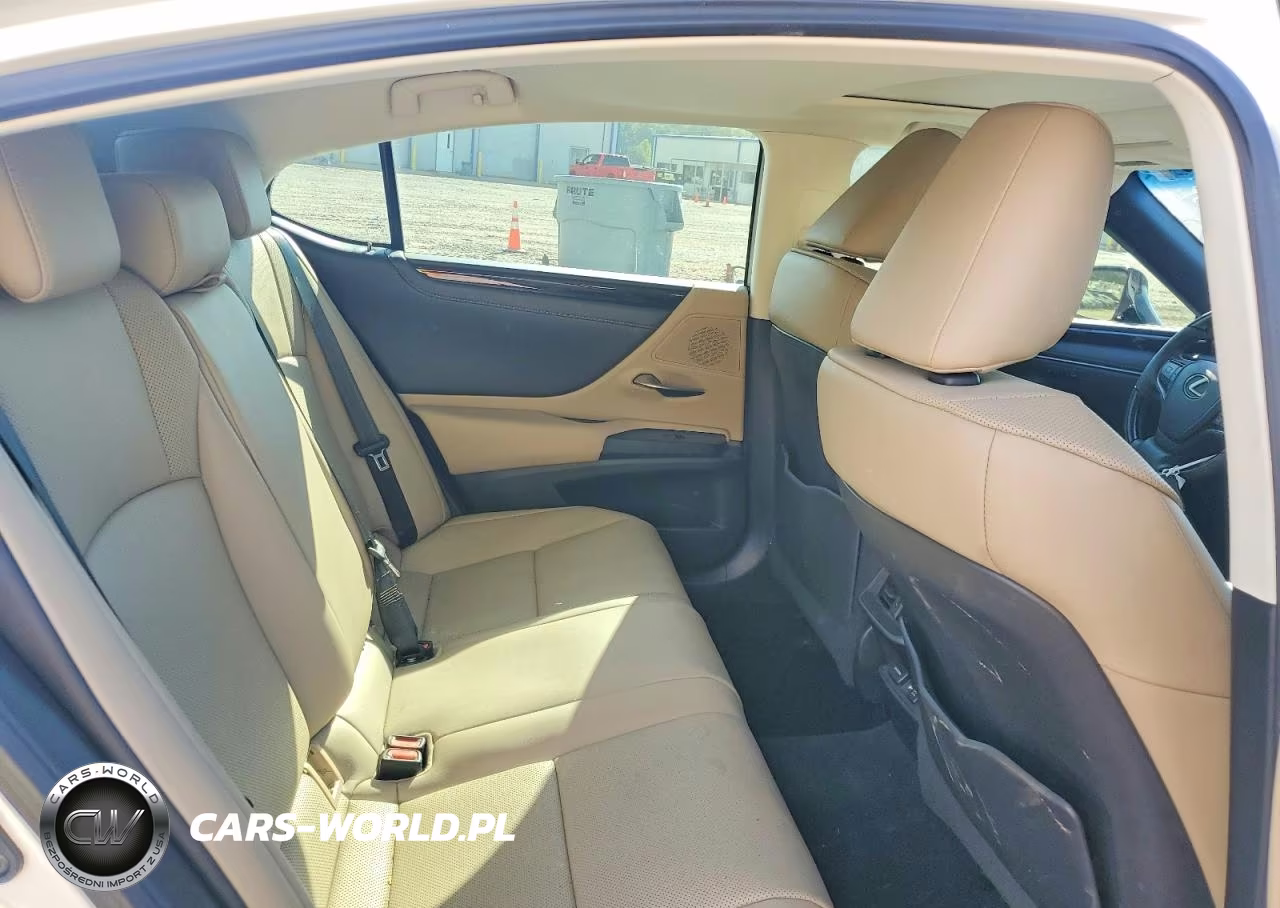2020 Lexus Es VIN:58AD21B10LU008396 - 10