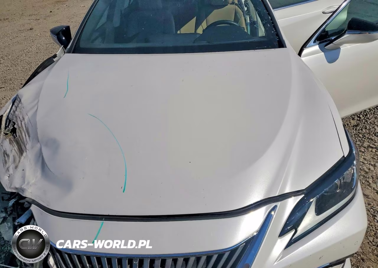 2020 Lexus Es VIN:58AD21B10LU008396 - 11