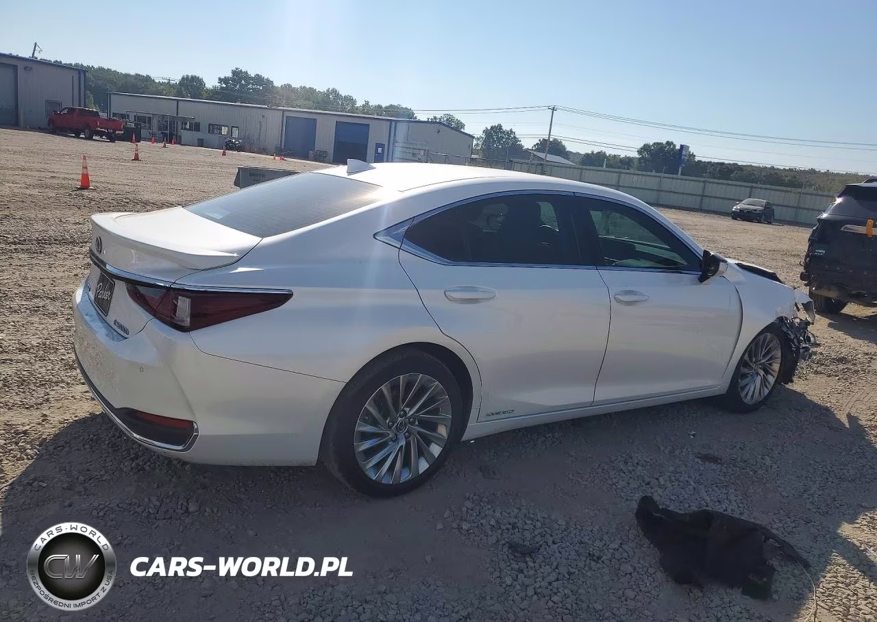 2020 Lexus Es VIN:58AD21B10LU008396 - 3