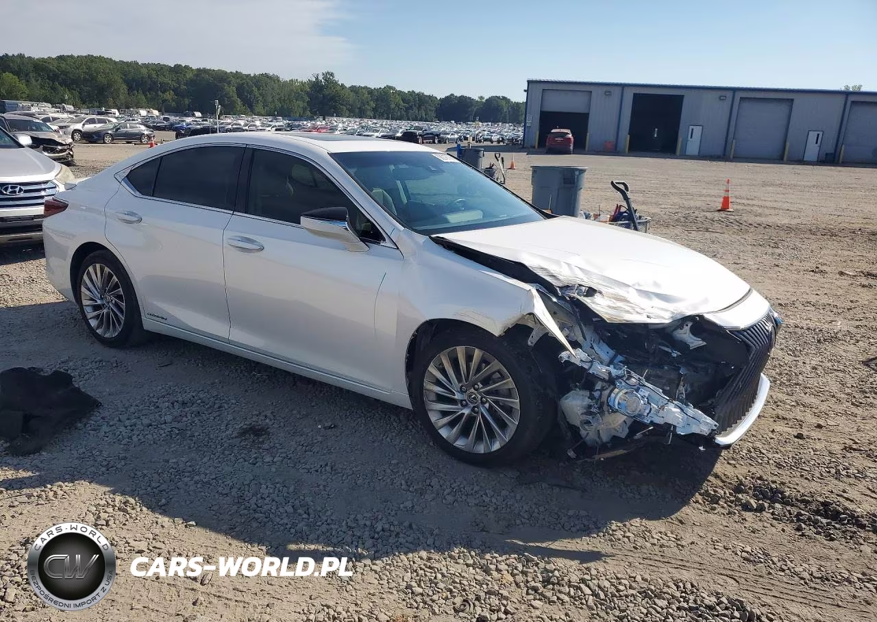 2020 Lexus Es VIN:58AD21B10LU008396 - 4