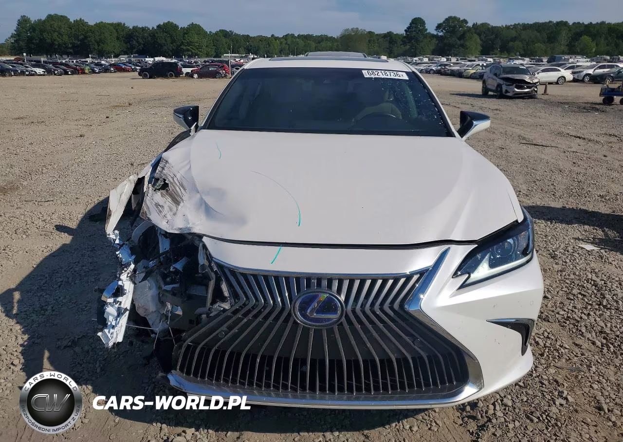2020 Lexus Es VIN:58AD21B10LU008396 - 5