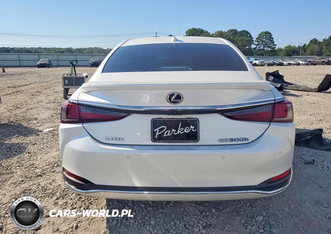 2020 Lexus Es VIN:58AD21B10LU008396 - 6