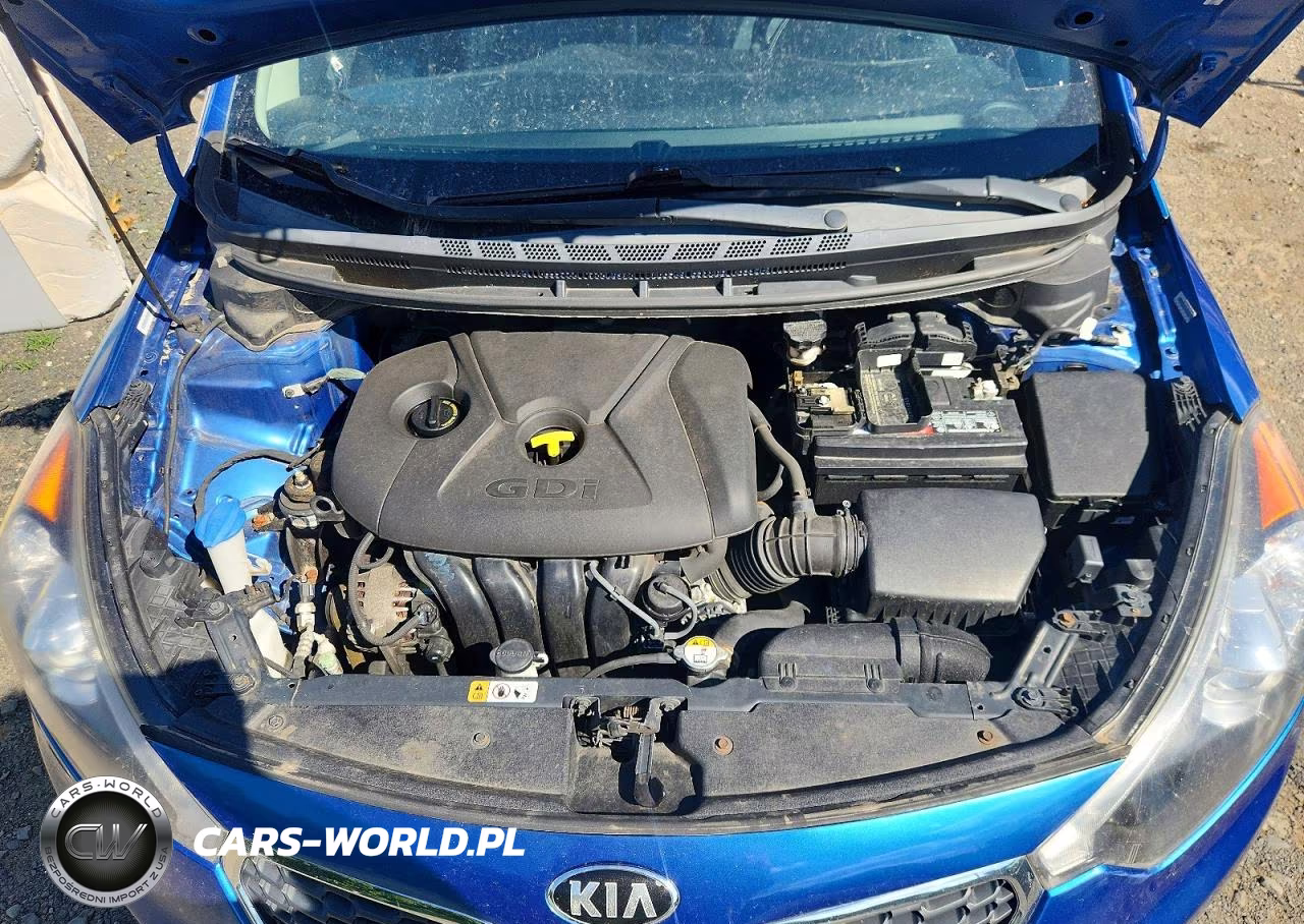2015 Kia Forte Ex VIN:KNAFZ4A89F5337481 - 11