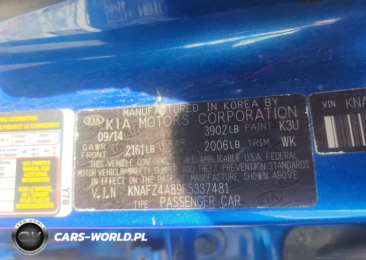 2015 Kia Forte Ex VIN:KNAFZ4A89F5337481 - 12