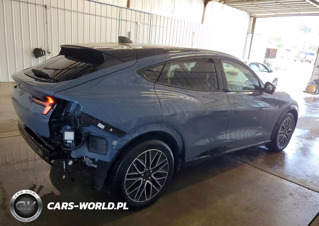 2024 Ford Mustang Mach-E Premium VIN:3FMTK3SU3RMA52835 - 3