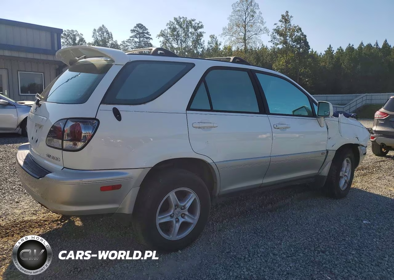 2002 Lexus Rx 300 VIN:JTJHF10U020284630 - 3