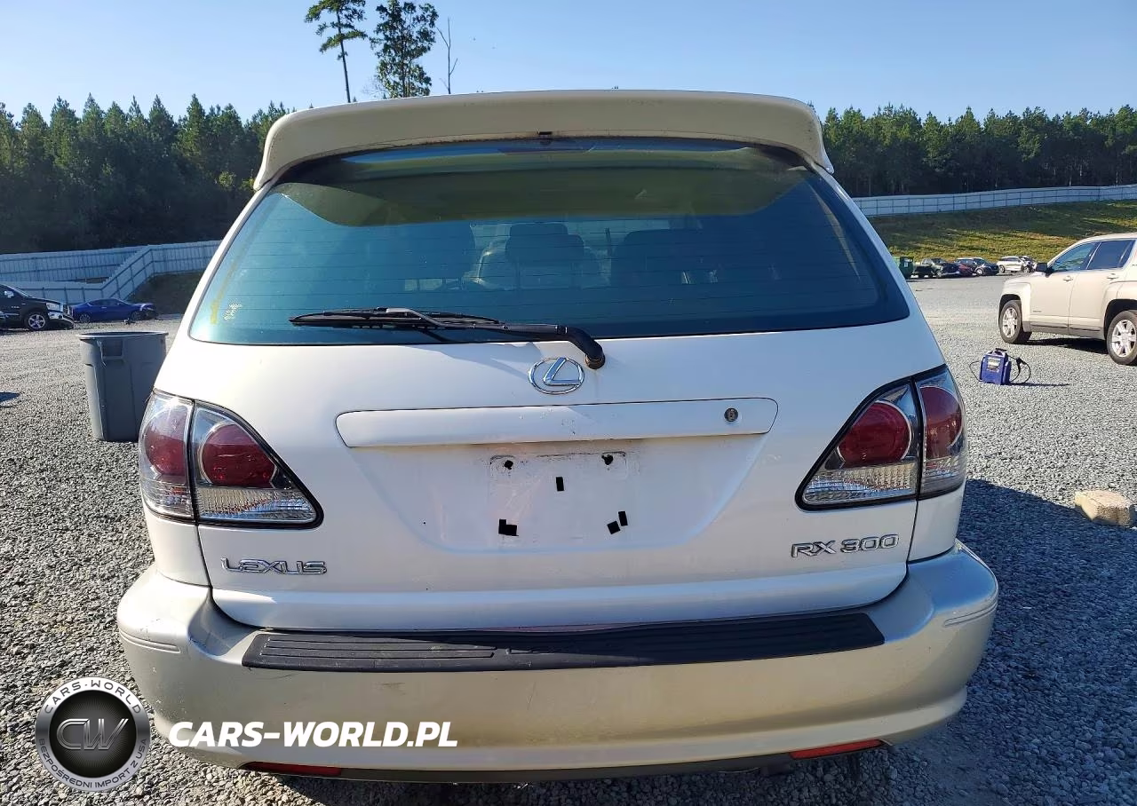 2002 Lexus Rx 300 VIN:JTJHF10U020284630 - 6