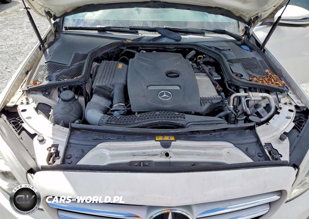 2018 Mercedes-Benz C 300 VIN:55SWF4JB9JU242772 - 11