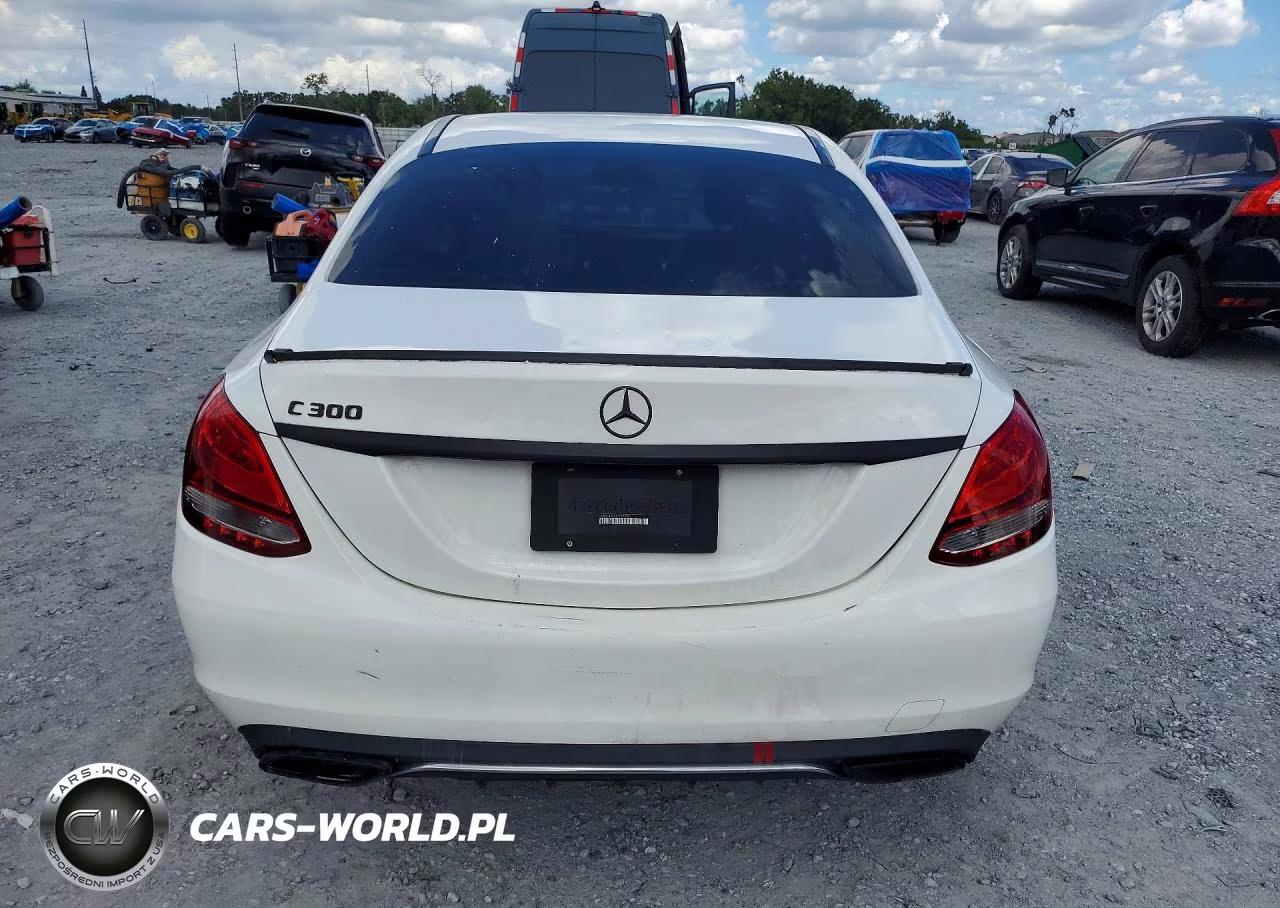 2018 Mercedes-Benz C 300 VIN:55SWF4JB9JU242772 - 6