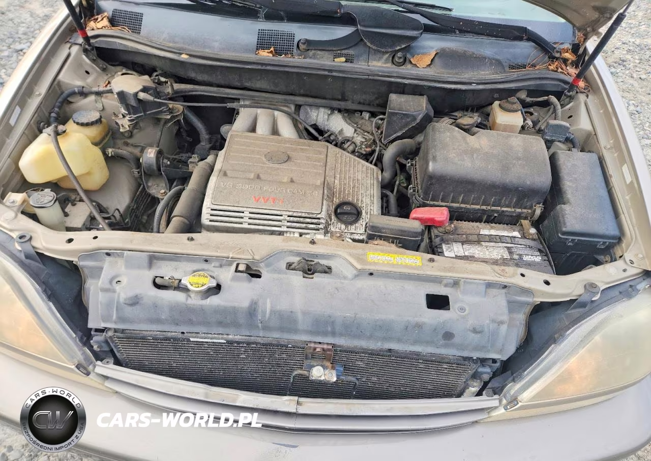 2000 Lexus Rx 300 VIN:JT6HF10U3Y0120114 - 12