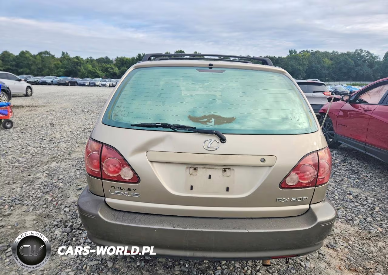 2000 Lexus Rx 300 VIN:JT6HF10U3Y0120114 - 6