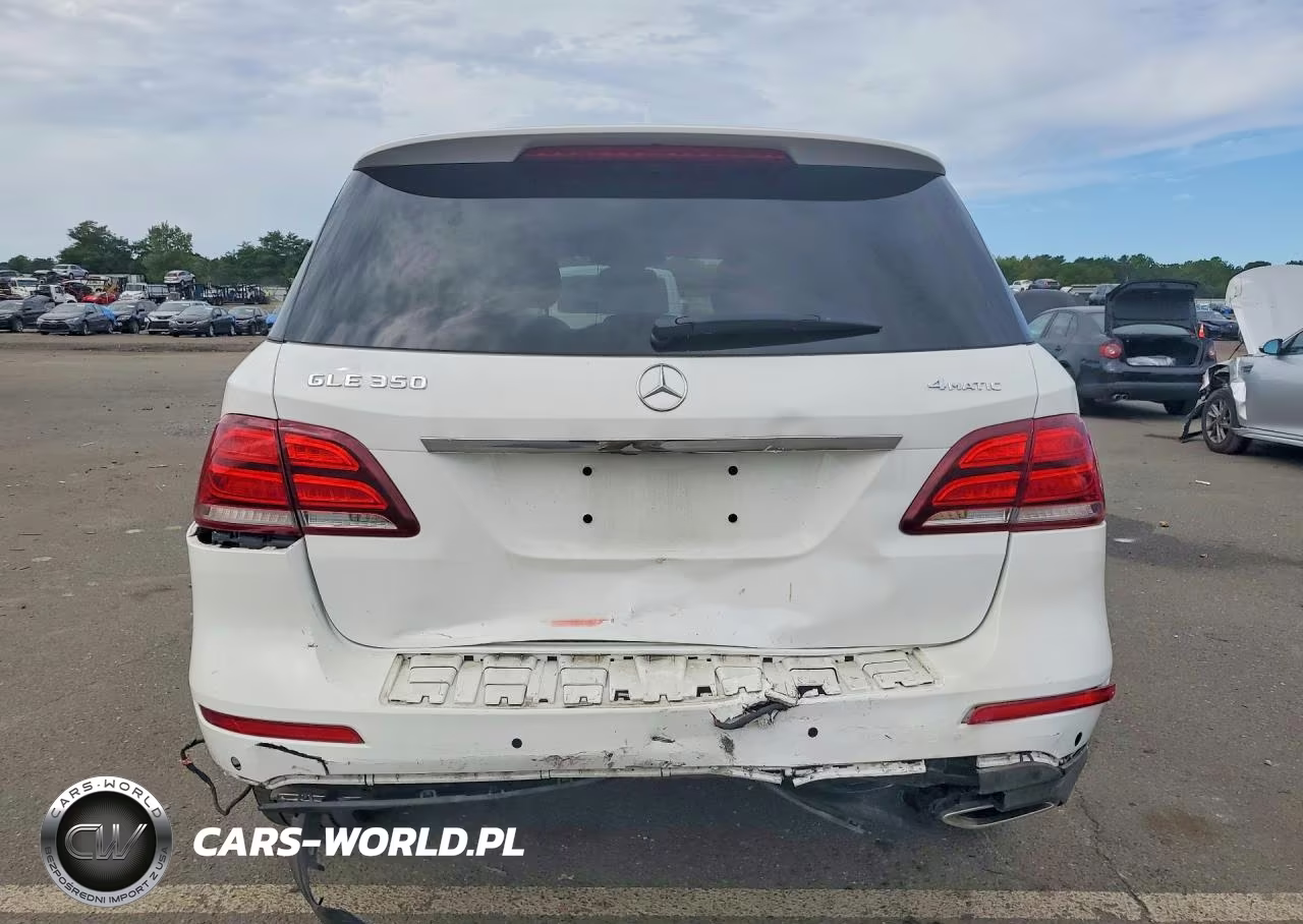 2017 Mercedes-Benz Gle 350 4Matic VIN:4JGDA5HB9HA859333 - 6