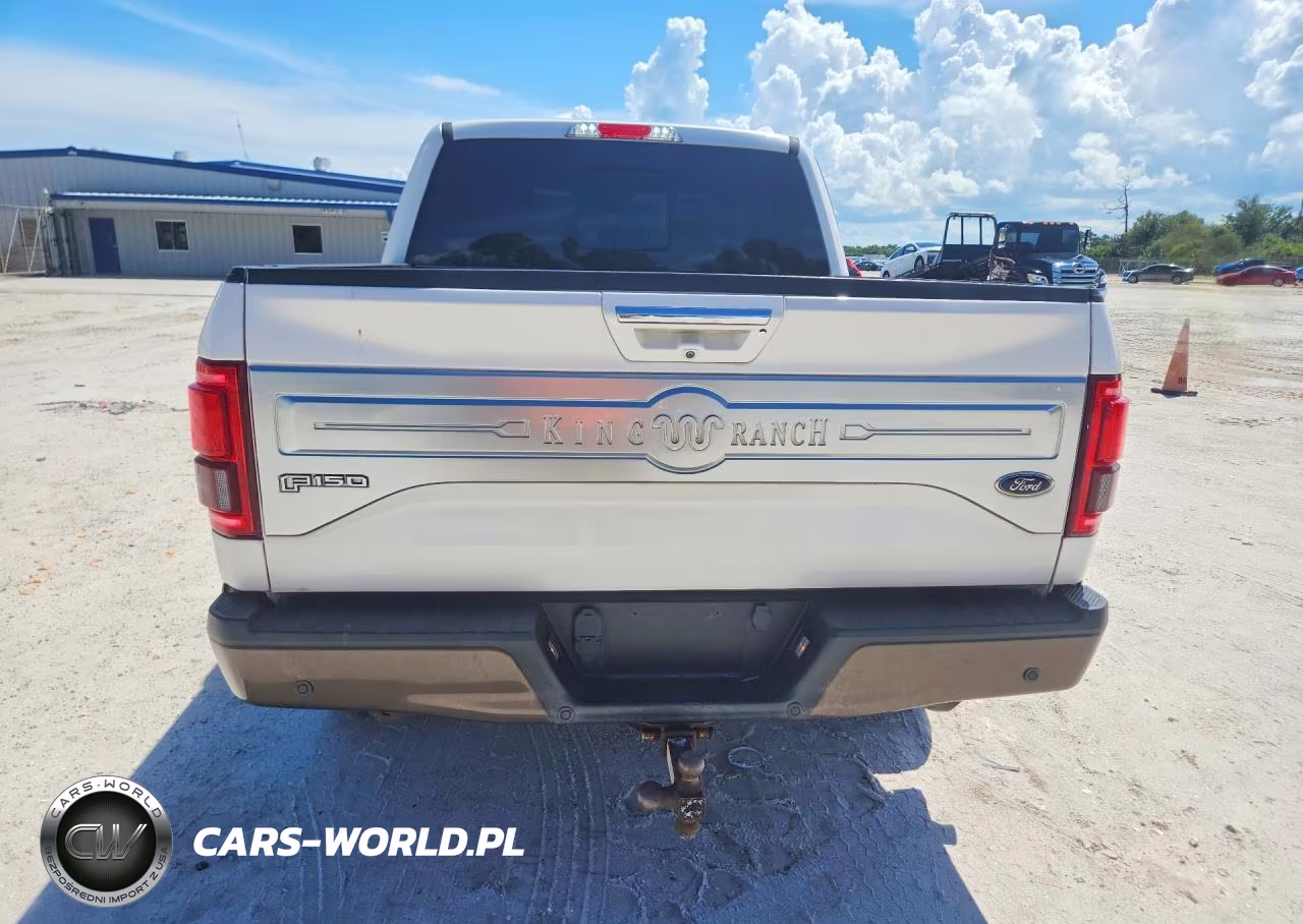 2017 Ford F150 Supercrew VIN:1FTEW1EG6HFA40382 - 6