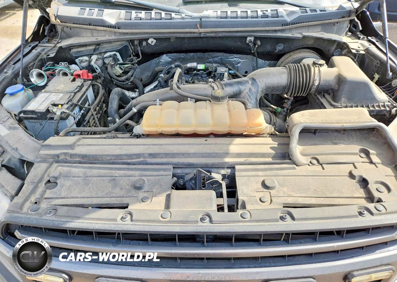 2019 Ford F150 Supercrew VIN:1FTEW1CP7KFA05182 - 11