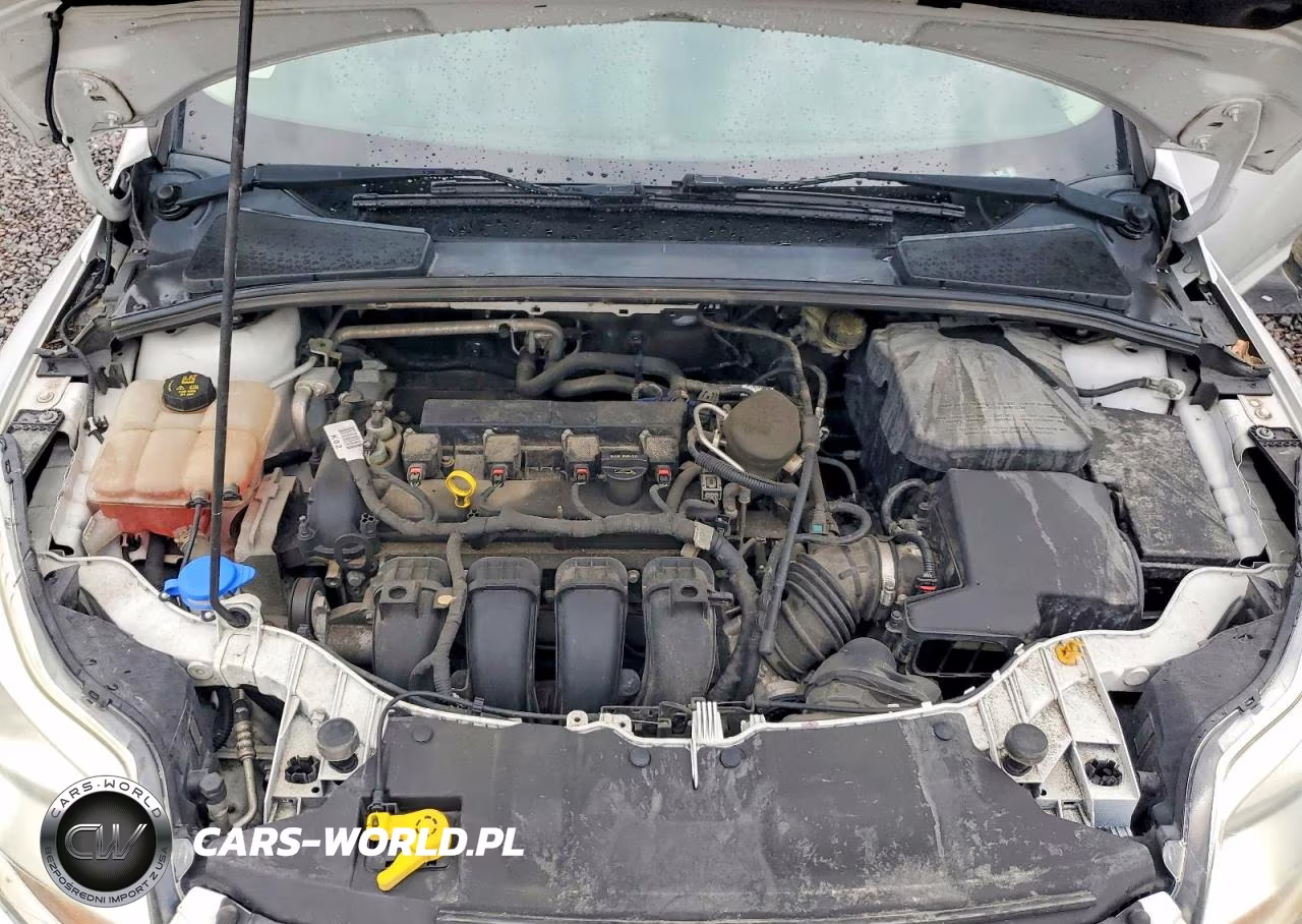 2014 Ford Focus Se VIN:1FADP3F21EL131022 - 11