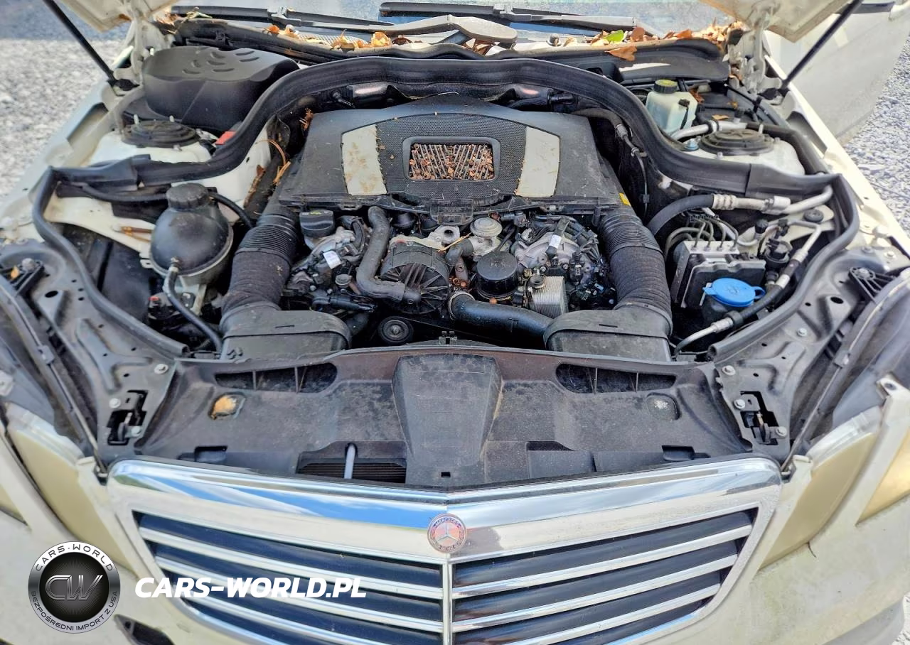 2010 Mercedes-Benz E 350 VIN:WDDHF5GB3AA092096 - 11