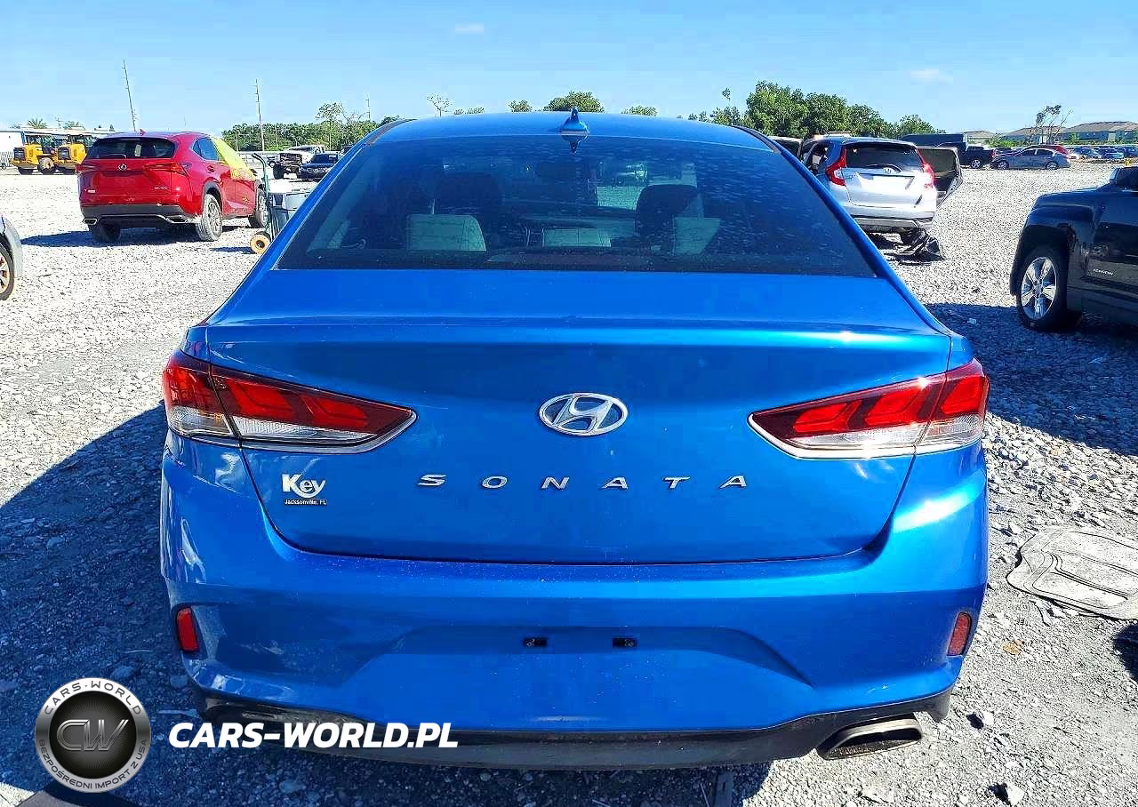 2019 Hyundai Sonata Sel VIN:5NPE34AFXKH769781 - 6
