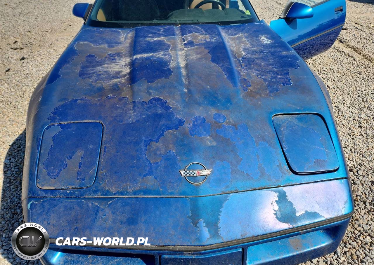 1990 Chevrolet Corvette VIN:1G1YY3385L5104398 - 11