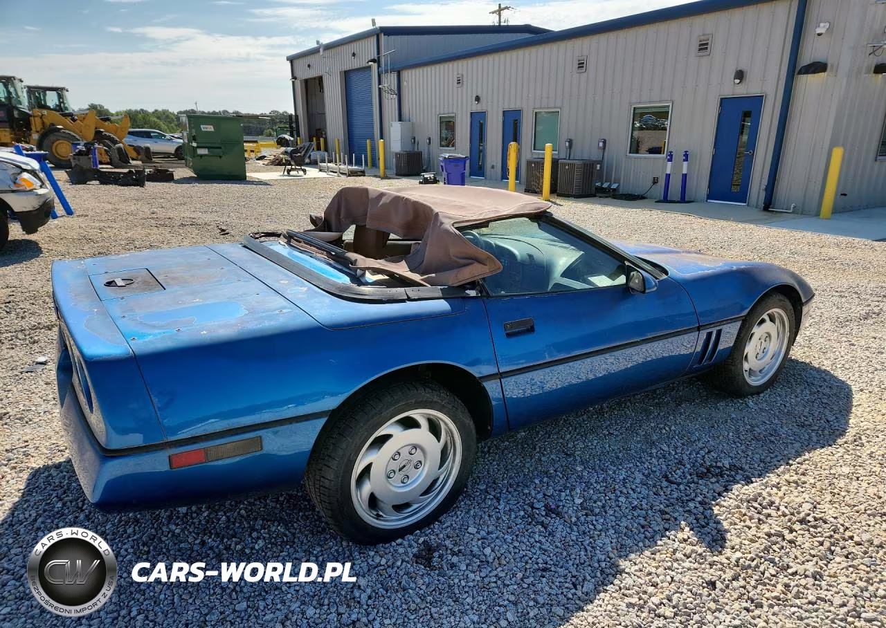1990 Chevrolet Corvette VIN:1G1YY3385L5104398 - 3