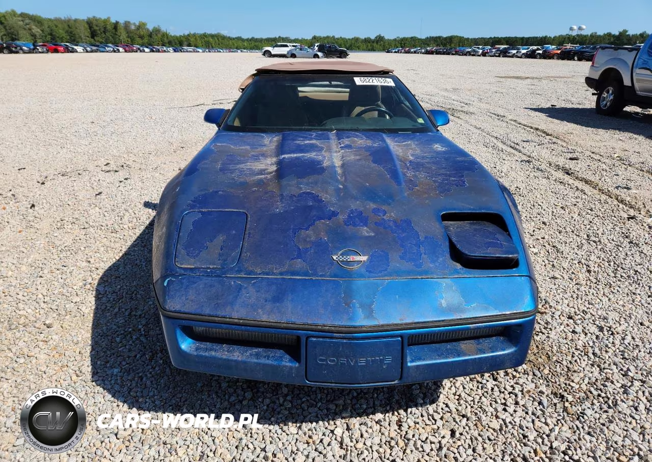 1990 Chevrolet Corvette VIN:1G1YY3385L5104398 - 5