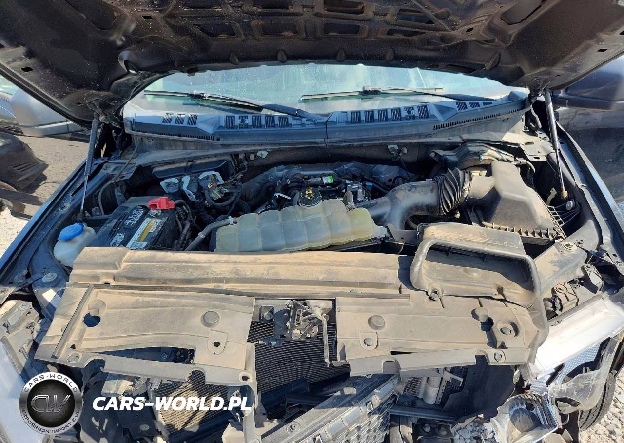 2020 Ford F150 Supercrew VIN:1FTEW1EP5LFB53930 - 11