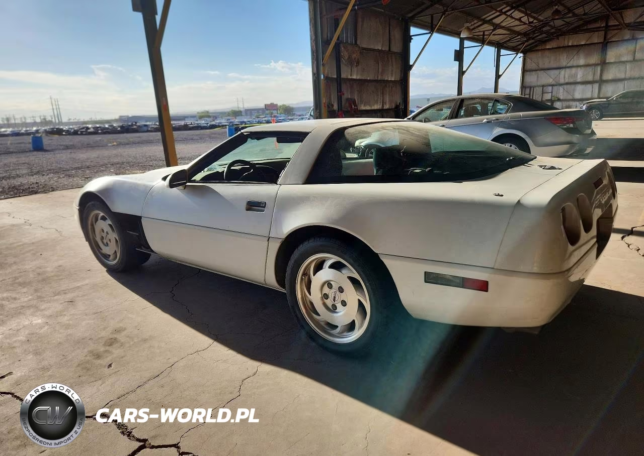 1993 Chevrolet Corvette VIN:1G1YY23P0P5112352 - 2