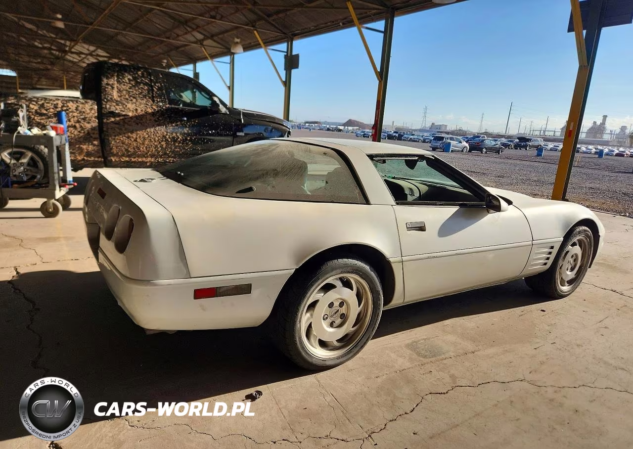 1993 Chevrolet Corvette VIN:1G1YY23P0P5112352 - 3