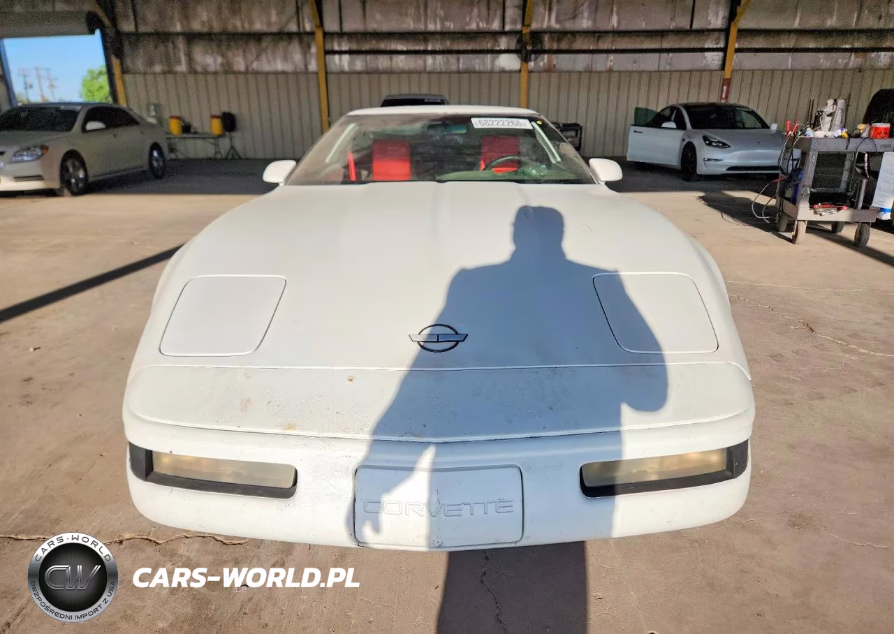 1993 Chevrolet Corvette VIN:1G1YY23P0P5112352 - 5