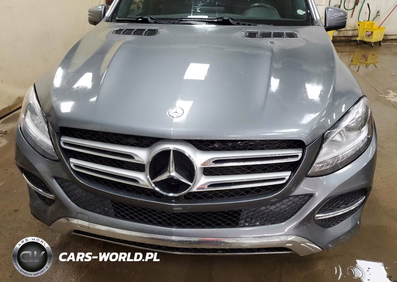 2017 Mercedes-Benz Gle 350 4Matic VIN:4JGDA5HB5HA885847 - 12
