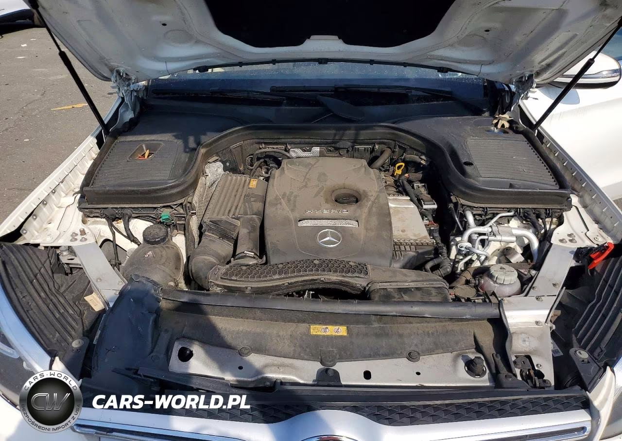 2019 Mercedes-Benz Glc 350E VIN:WDC0G5EBXKF608184 - 12