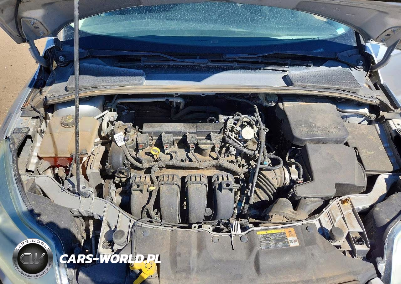 2014 Ford Focus Se VIN:1FADP3F22EL254019 - 11