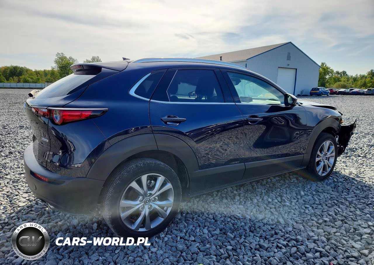2024 Mazda Cx-30 Premium VIN:3MVDMBDM1RM627426 - 3