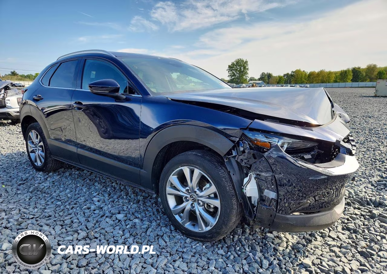 2024 Mazda Cx-30 Premium VIN:3MVDMBDM1RM627426 - 4
