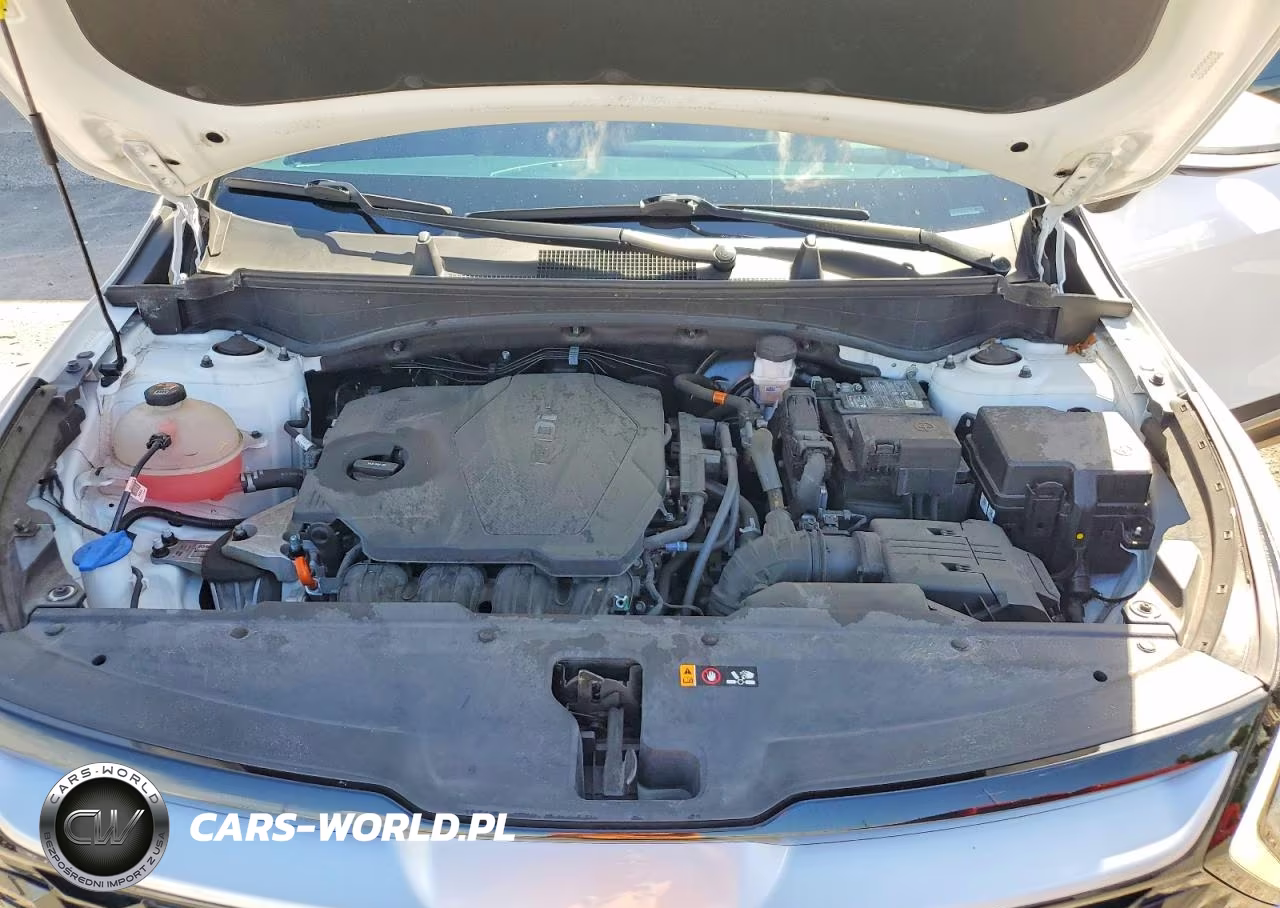 2023 Kia Sportage Ex VIN:5XYK33AF7PG096248 - 12
