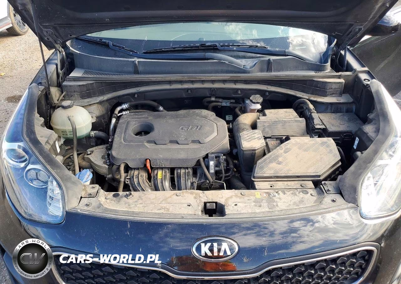2017 Kia Sportage Lx VIN:KNDPM3AC4H7223755 - 11
