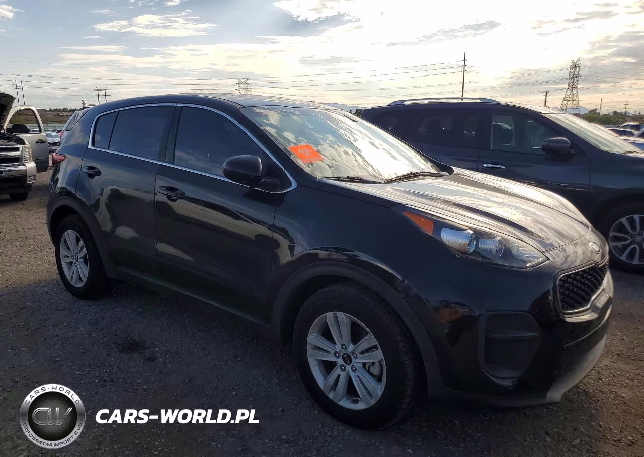 2017 Kia Sportage Lx VIN:KNDPM3AC4H7223755 - 4