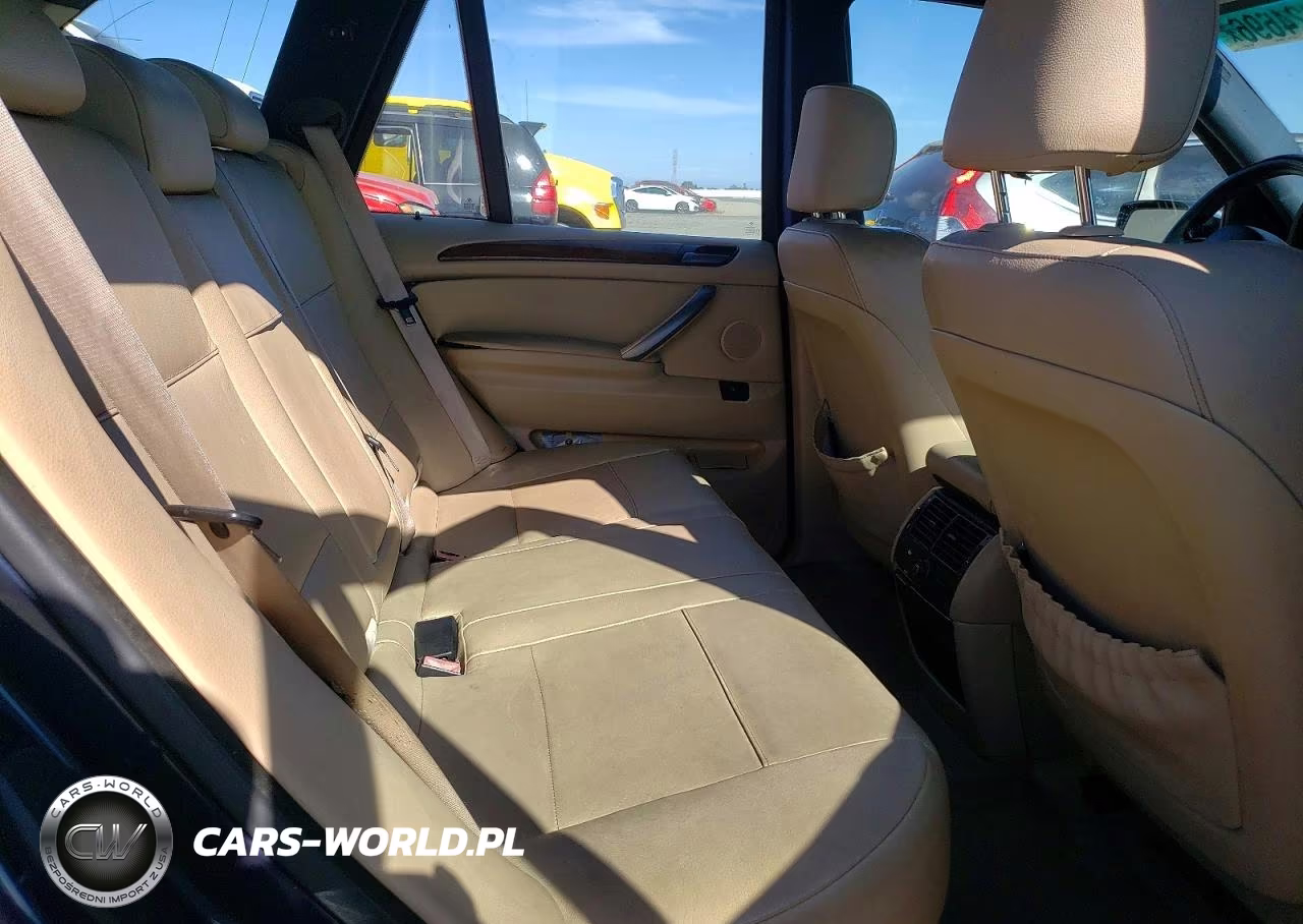 2006 BMW X5 4.4I VIN:5UXFB53516LV23543 - 10