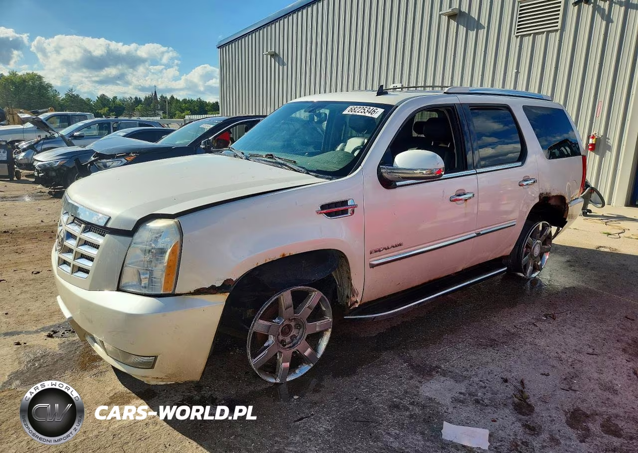 2010 Cadillac Escalade Luxury VIN:1GYUKBEF0AR172217 - 1