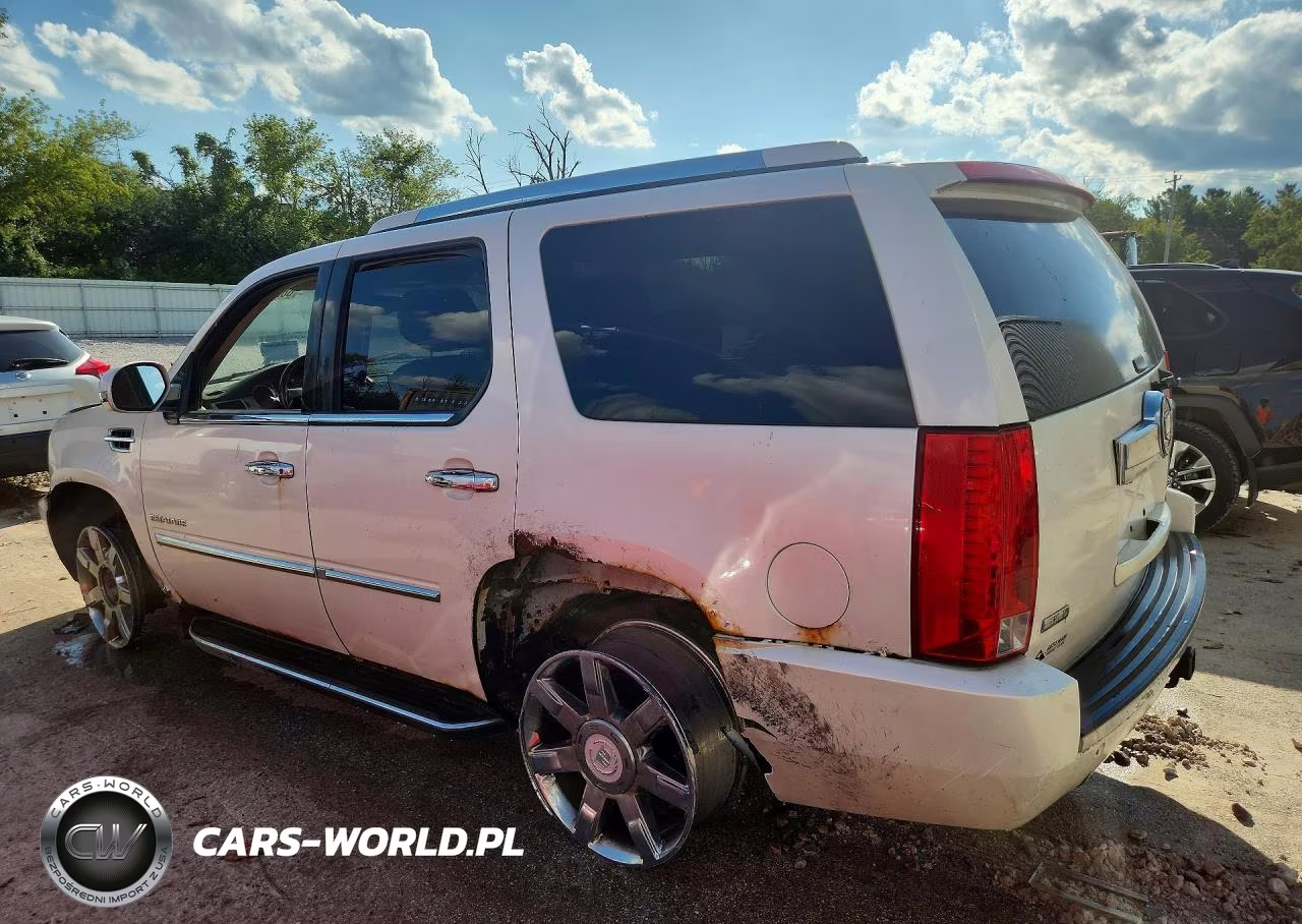2010 Cadillac Escalade Luxury VIN:1GYUKBEF0AR172217 - 2