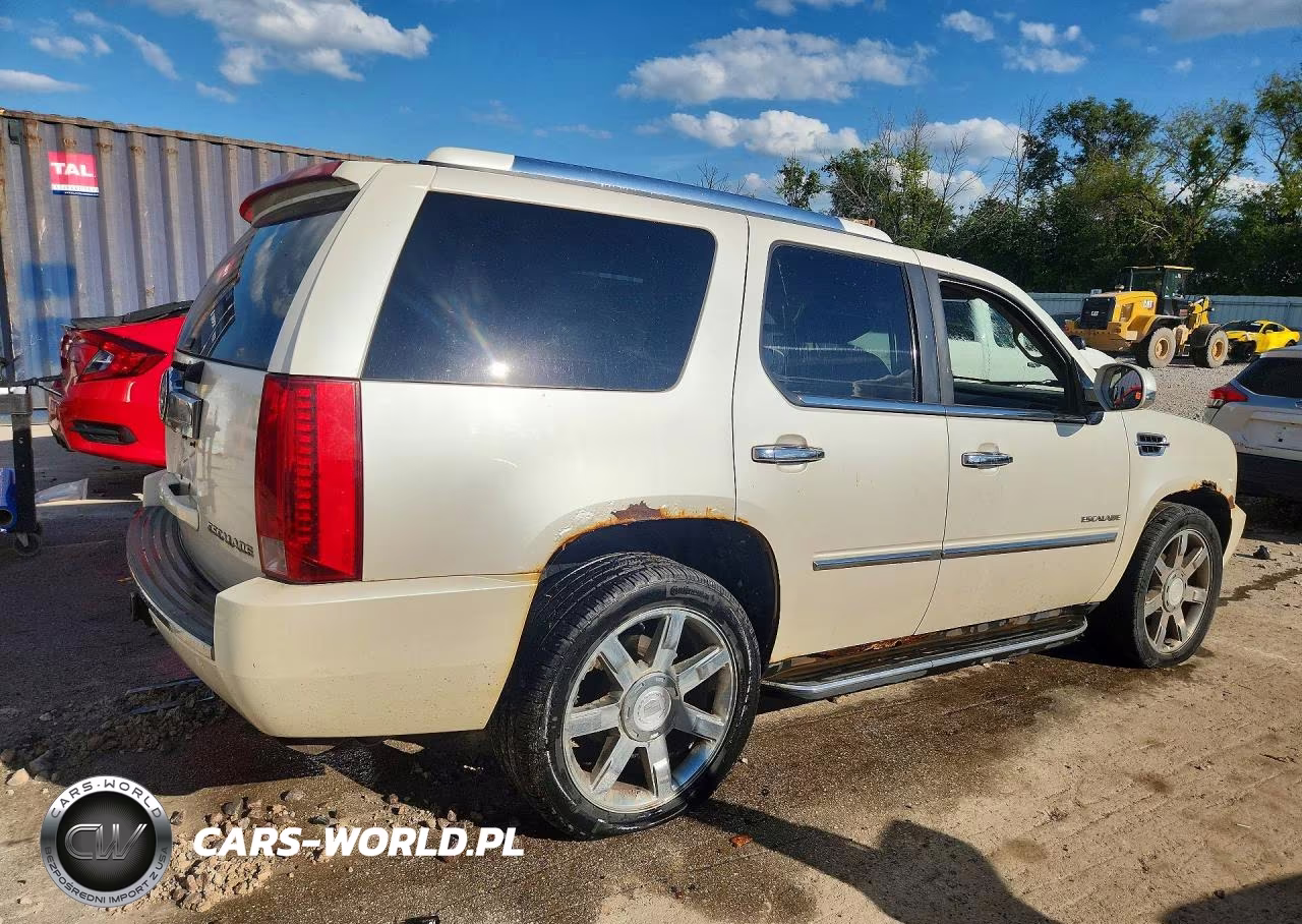 2010 Cadillac Escalade Luxury VIN:1GYUKBEF0AR172217 - 3